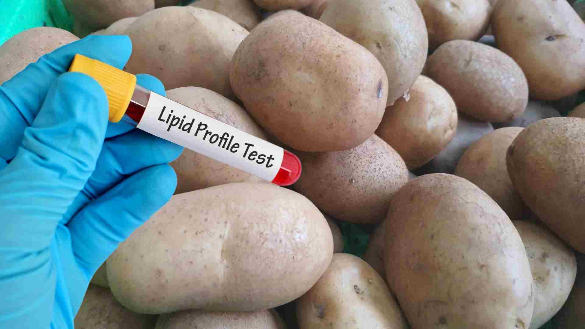 Las patatas pueden aumentar los lipidos en la sangre. Imagen: Bajo las nubes