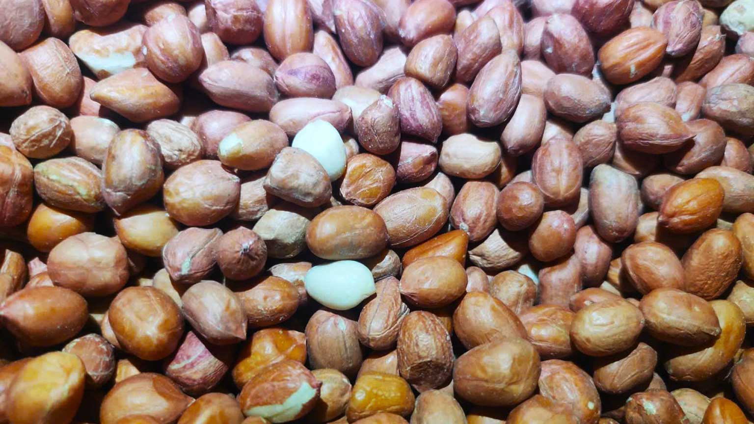 Peanuts are beneficial for heart health and weight loss. Photo: Han Nghien