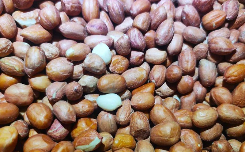 Peanuts are beneficial for heart health and weight loss. Photo: Han Nghien