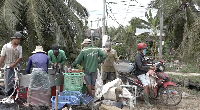 La intrusion de agua salada ha cambiado el rumbo de muchos criadores de salmones. Imagen de la ciudad de Huanglong