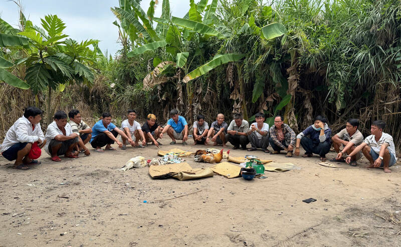 Arrested 15 subjects for cockfighting in an empty lot with a reed fence. Photo: Provided by the police