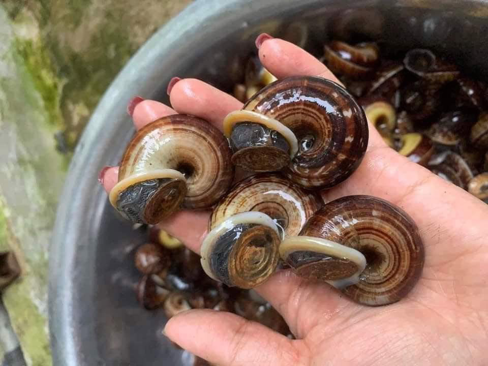 Weather forecast for April 1, the Northwest is cloudy, with rain in some places. Photo: Mai Mai