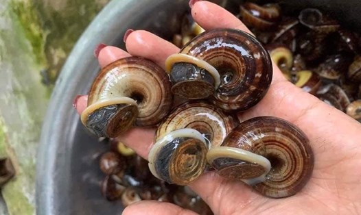 Dự báo thời tiết ngày 1.4, phía Tây Bắc Bộ nhiều mây, có mưa vài nơi. Ảnh: Mai Mai