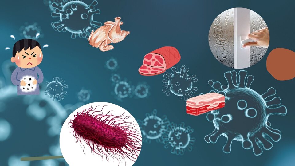 Bacteria and viruses that can easily cause poisoning during the saw season