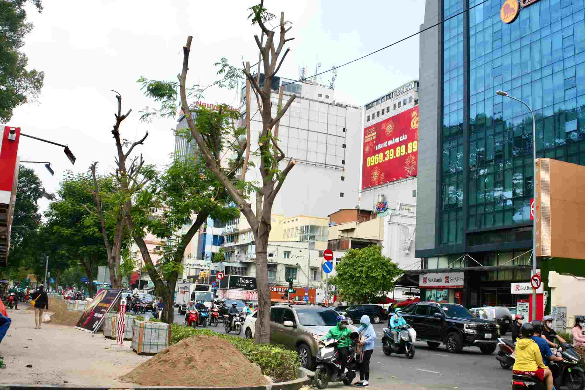 Some trees had their branches tr down and were showing signs. Photo: Minh Tam