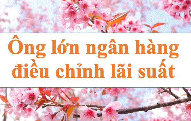 El jefe del banco regula los tipos de interes. Imagen: El acero