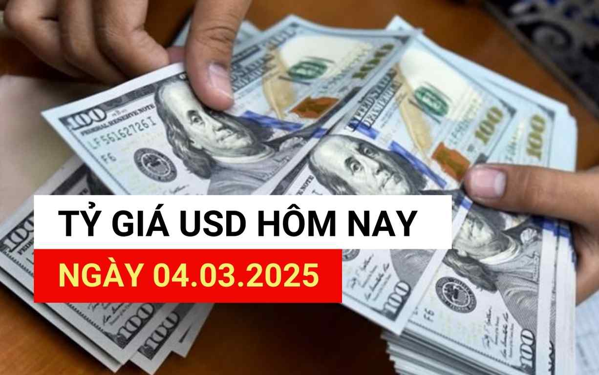 USD exchange rate today 4.3.2025.