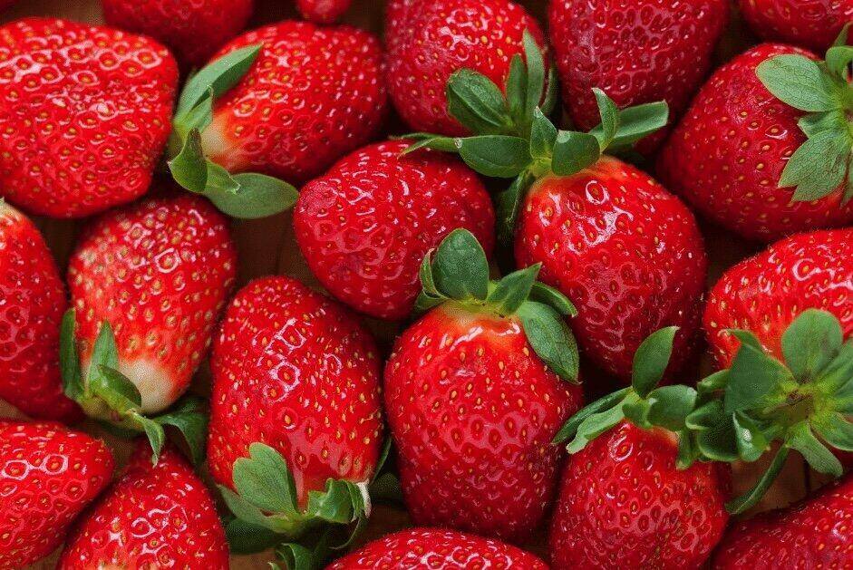 Fruits rich in vitamin C such as mulberries can be eaten in the morning for good health. Photo: Kieu Vu