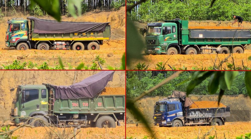 Xe ôtô chở đất lậu rời khỏi bãi khai thác ở khu vực rừng tràm. Ảnh: Nhóm phóng viên