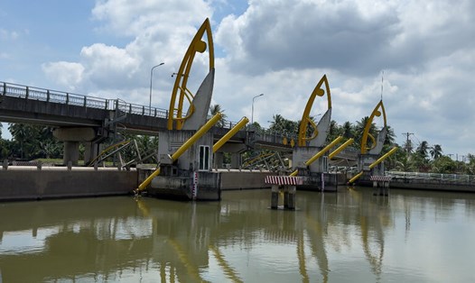 Hệ thống cống ngăn mặn chưa hoàn chỉnh, ngành chức năng đề xuất xây đập tạm. Ảnh: Hoàng Lộc
