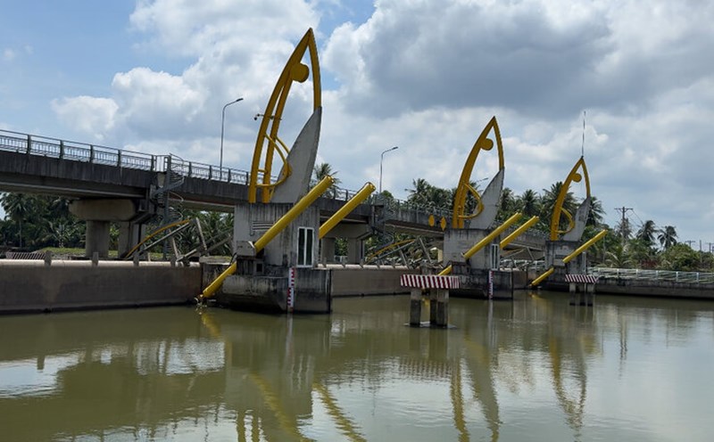 The salinity prevention sewer system is not yet complete, the relevant agencies proposed to build a temporary dam. Photo: Hoang Loc