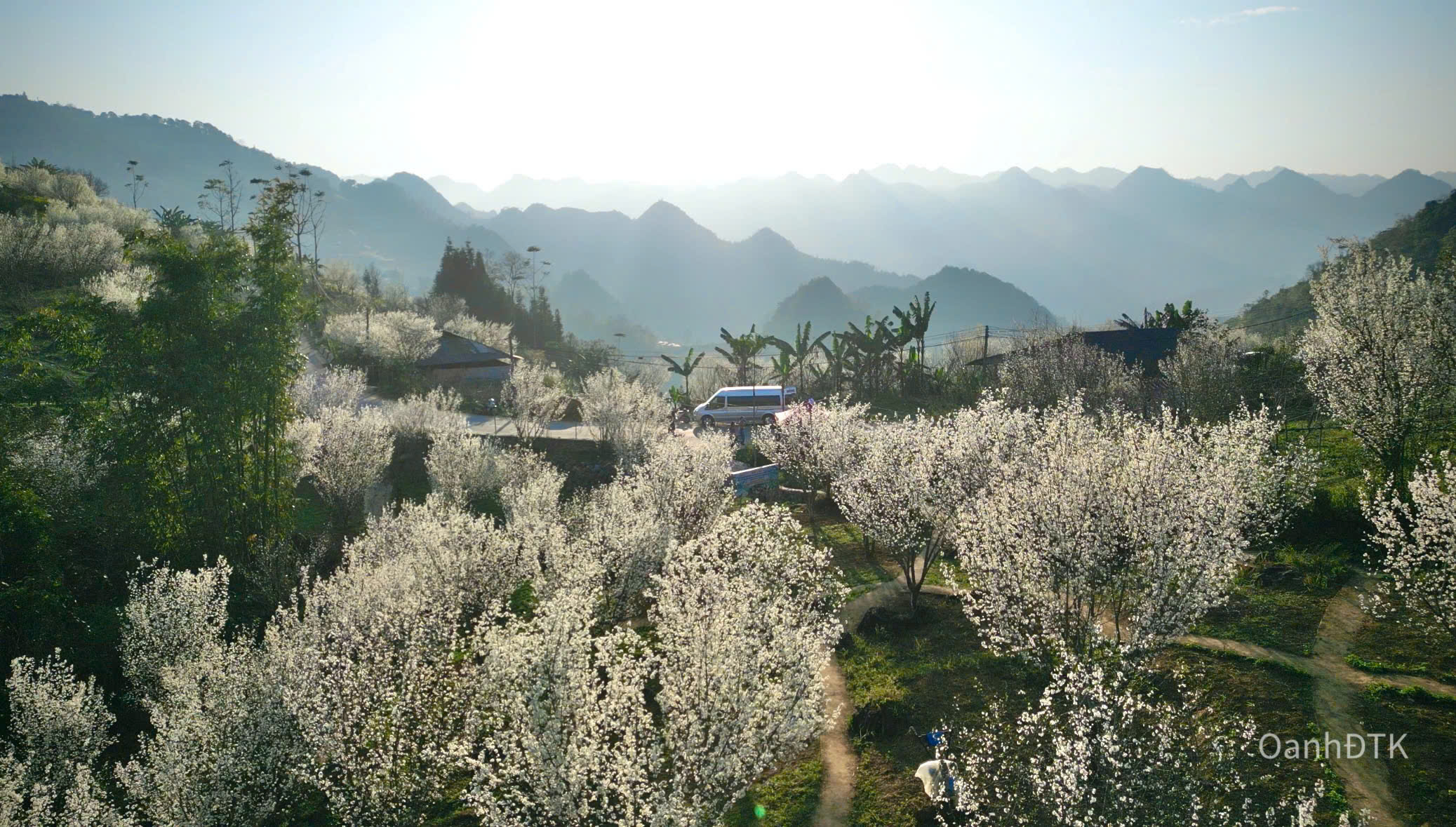 En s'y rendant pendant la saison des fleurs, les visiteurs pourront admirer un tableau naturel époustouflant, plein de couleurs sauvages, typique des hautes terres du Nord-Ouest.