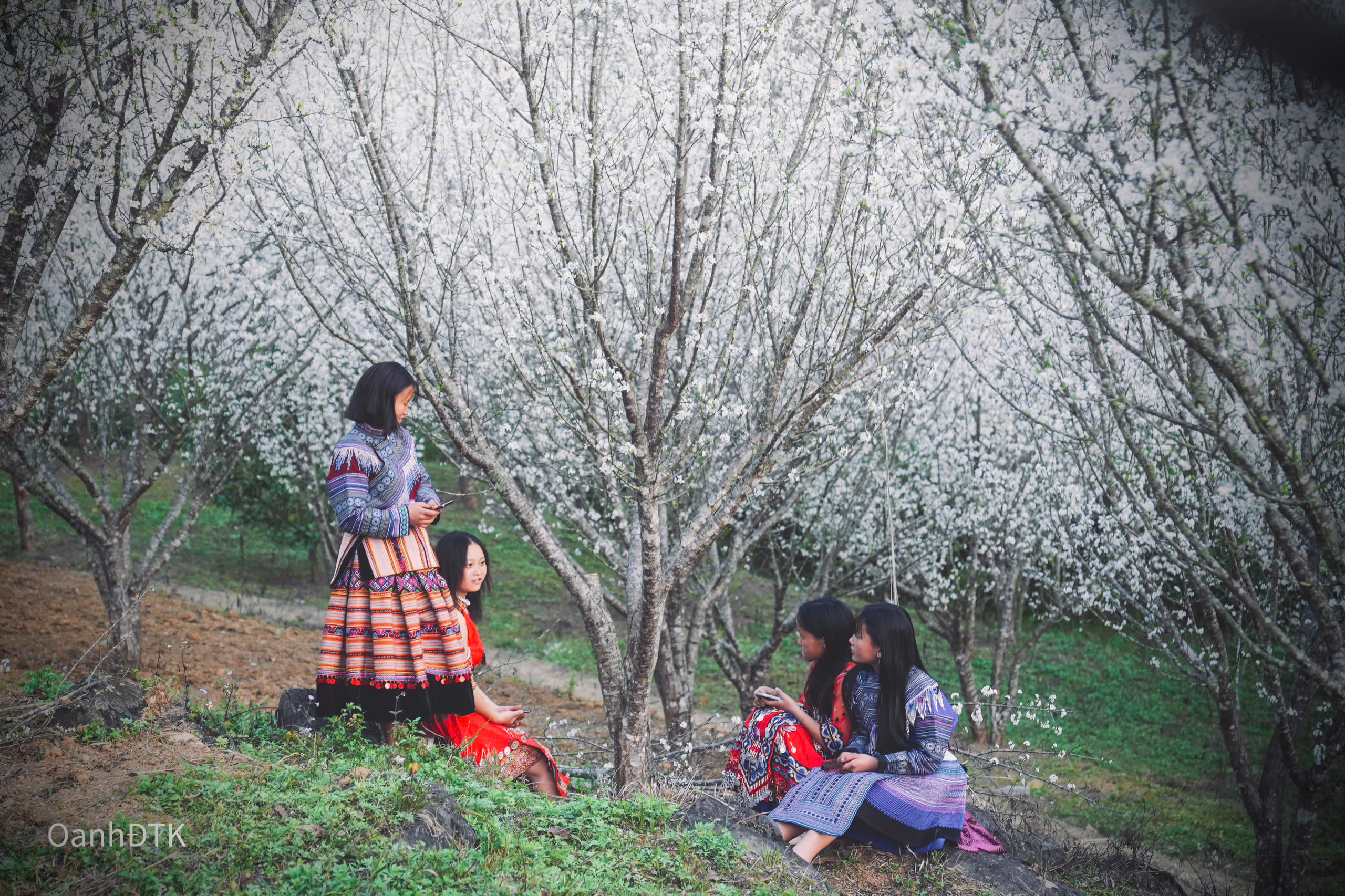 La beauté du printemps à Bac Ha est un mélange de nature et de culture indigène colorée.