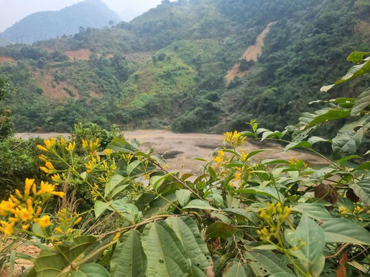 Two students in Son La ate their toes, one did not survive. Photo: Van Ngoc