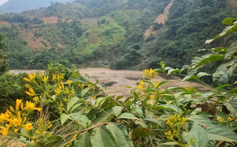 Two students in Son La ate their toes, one did not survive. Photo: Van Ngoc