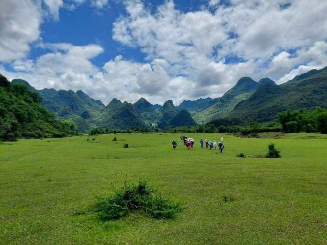 Mot goc bai Tinh - san golf tu nhien. Anh: Tan Van.