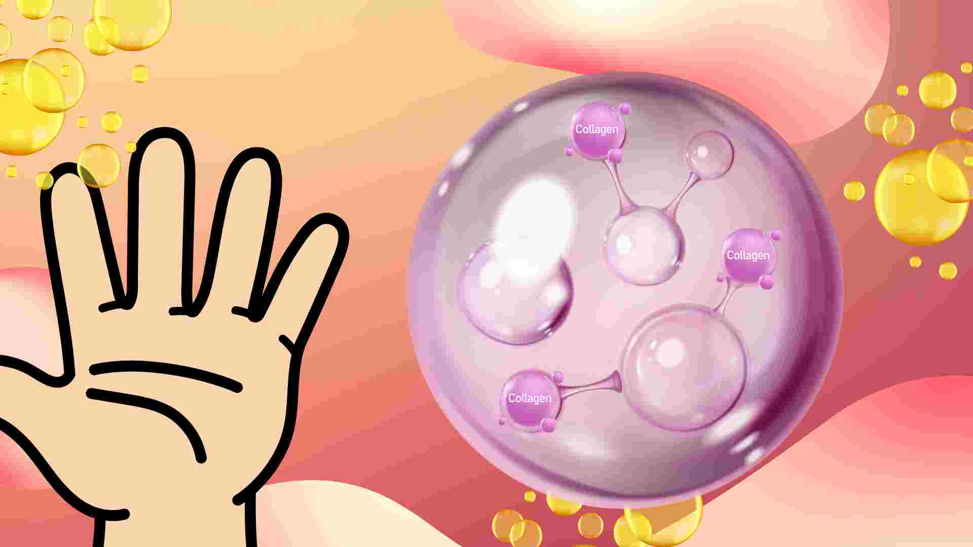 5 foods richest in collagen