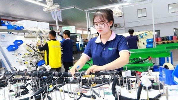 Hai Duong established the Hai Duong Provincial Vocational Education Center under the Department of Education and Training. Photo: Tri Dung