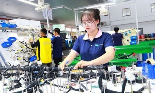 Hải Dương thành lập Trung tâm Giáo dục nghề nghiệp tỉnh Hải Dương trực thuộc Sở Giáo dục và Đào tạo. Ảnh: Trí Dũng