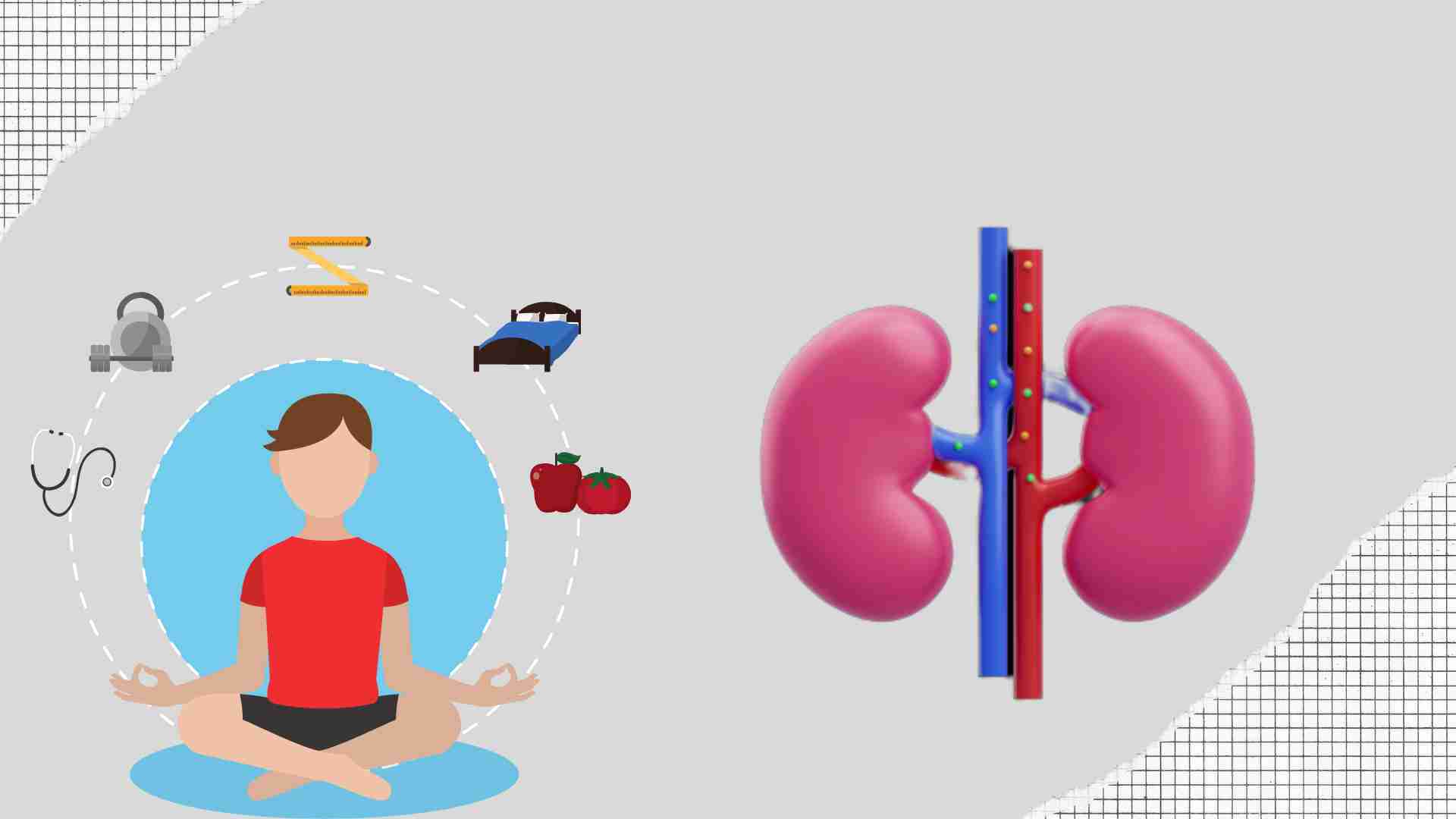 3 methods to help eliminate sodium, purify the kidneys effectively. Graphics: Ha May