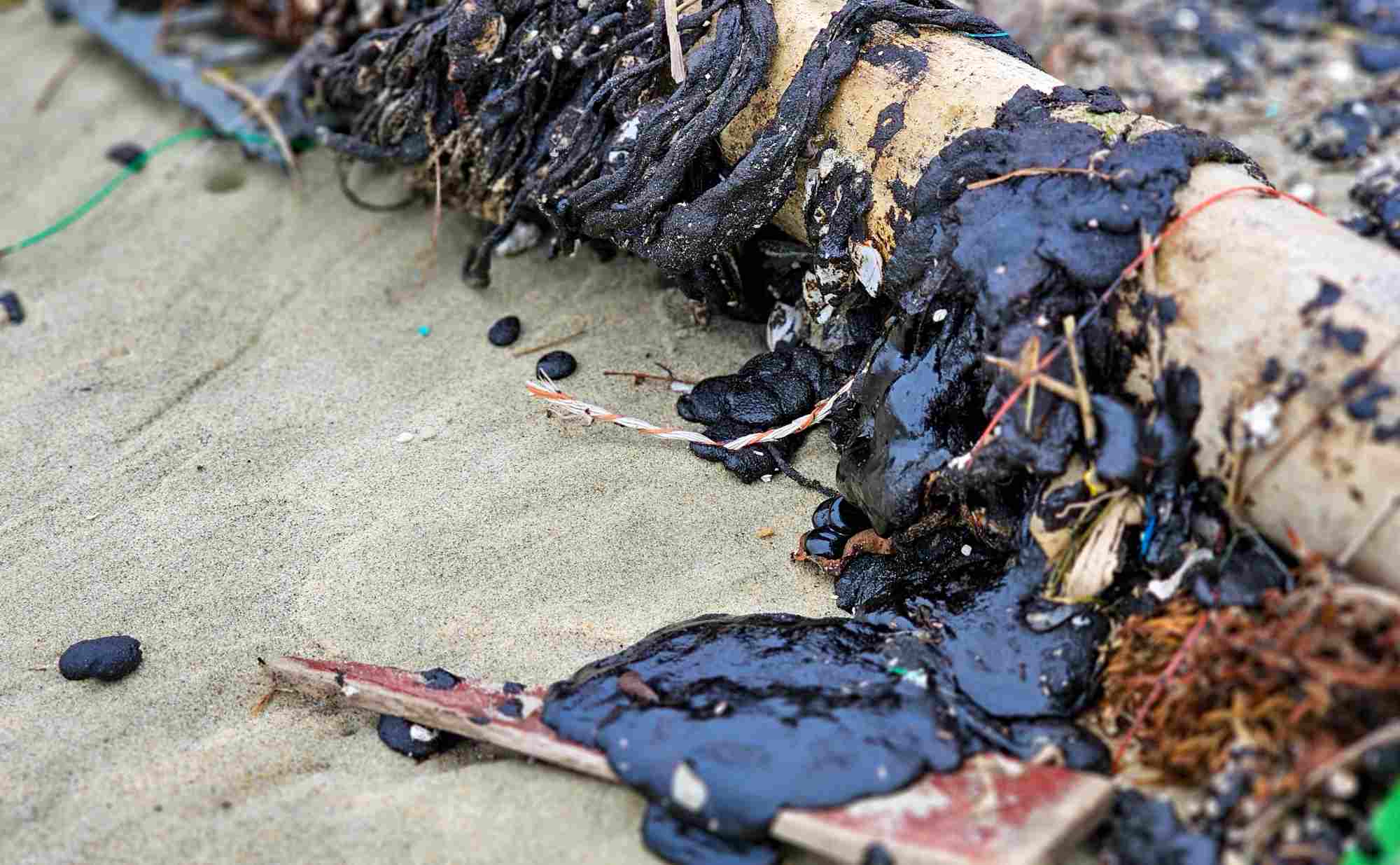 Close-up of the black bulge of crude oil washing up on the coast of Hue in recent days. Photo: Phuc Dat
