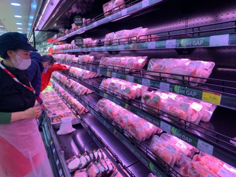 National pig prices are on the rise. Illustrative photo: Phuong Anh