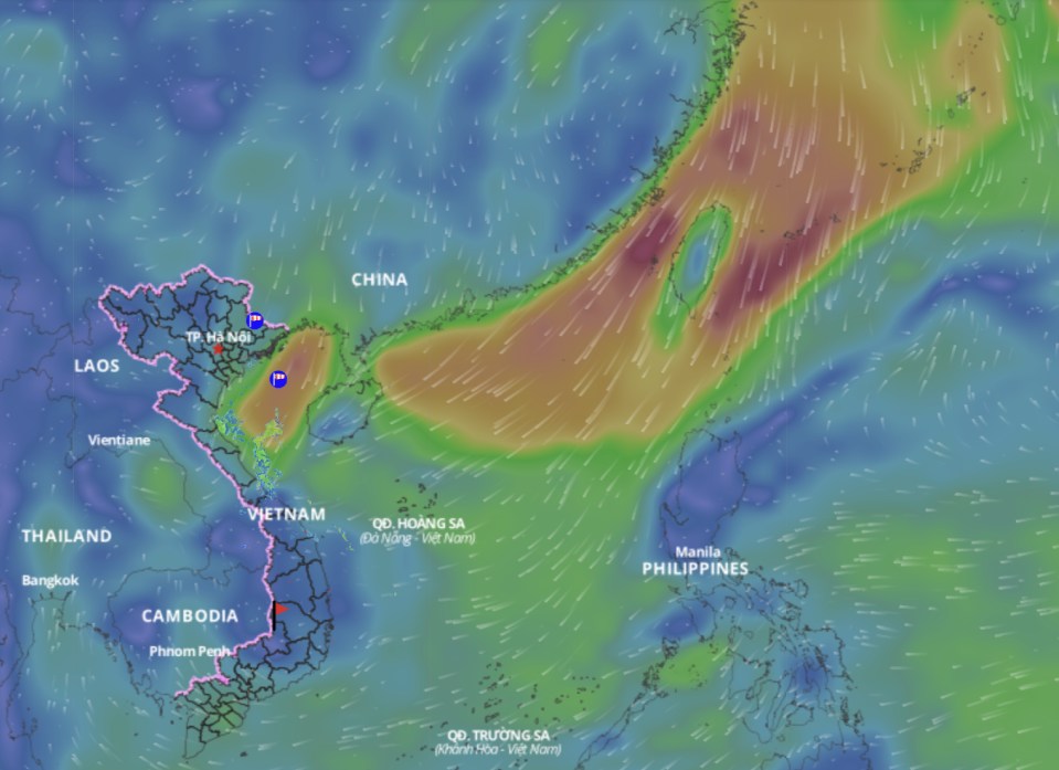 Cold air is forecast to affect the weather in the Gulf of Tonkin and the North East Sea. above is an image of the sea wind direction updated at 11:00 on March 6. Photo: Vietnam Disaster Monitoring System
