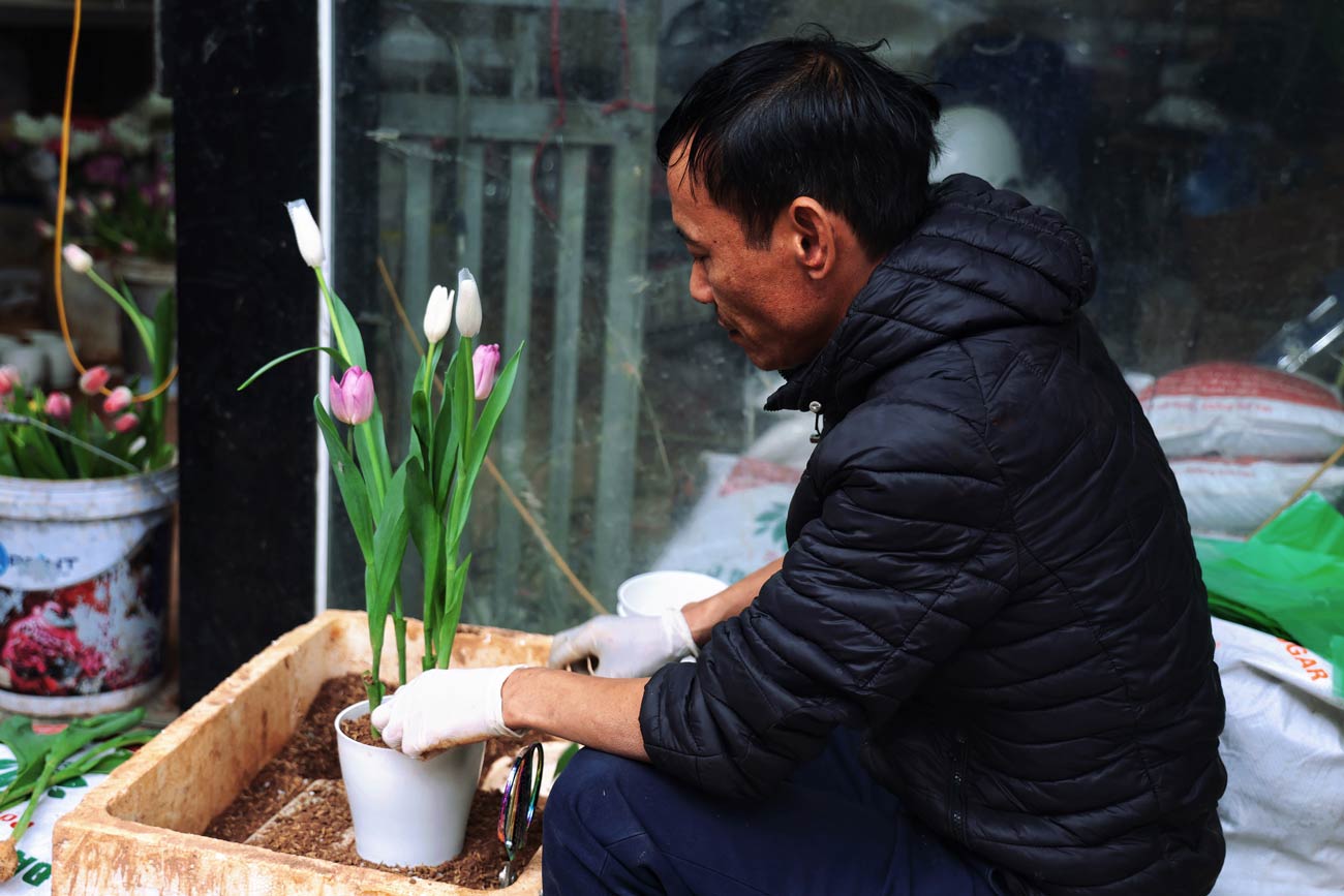 De phuc vu nhu cau tang cao dip 8.3, nhieu cua hang phai thue them nhan luc de lam viec.