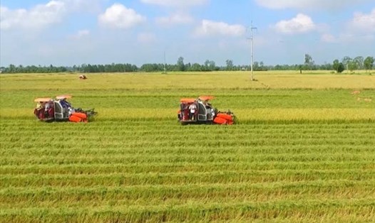 Trường hợp bị thu hồi đất nông nghiệp để làm khu dân cư, người có đất bị thu hồi được đền bù, bồi thường theo quy định. Ảnh: Trần Lưu