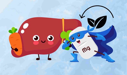 Cách bổ sung magiê cho người bệnh gan, hỗ trợ thải độc
