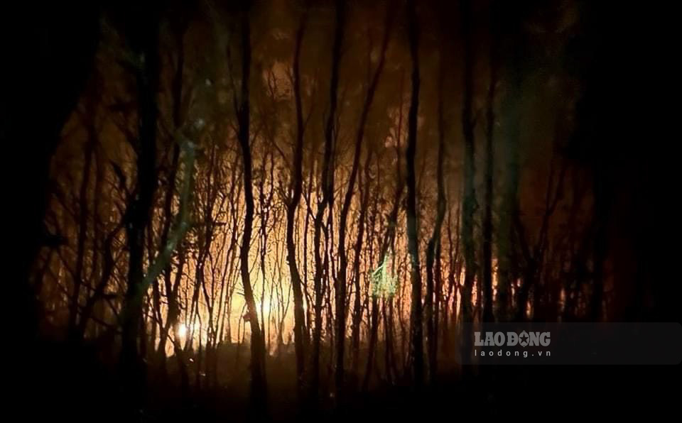 The cajuput forest fire in Hamlet T4, Vinh Phu Commune, Giang Thanh District (Kien Giang) at the end of April 2024. Photo: Kien Giang Police