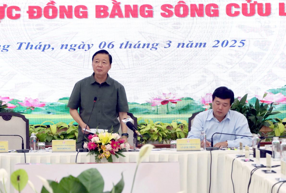 Pho Thu tuong Tran Hong Ha phat bieu tai buoi lam viec. Anh: Cong thong tin dien tu Dong Thap.