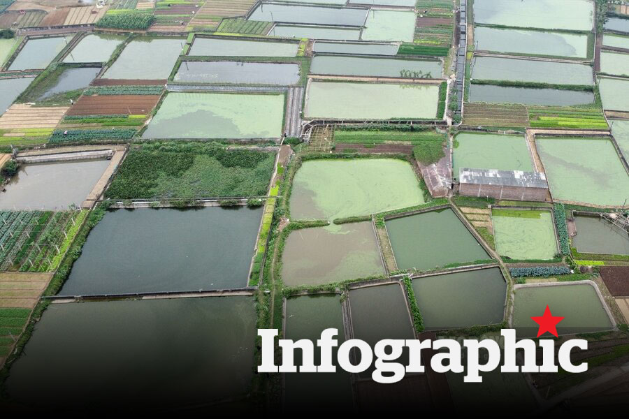 Bảng giá đất nông nghiệp nuôi trồng thủy sản Hà Nội năm 2025
