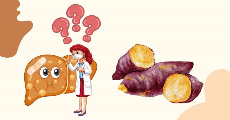Người bị gan nhiễm mỡ nên hạn chế hoặc tránh ăn khoai lang