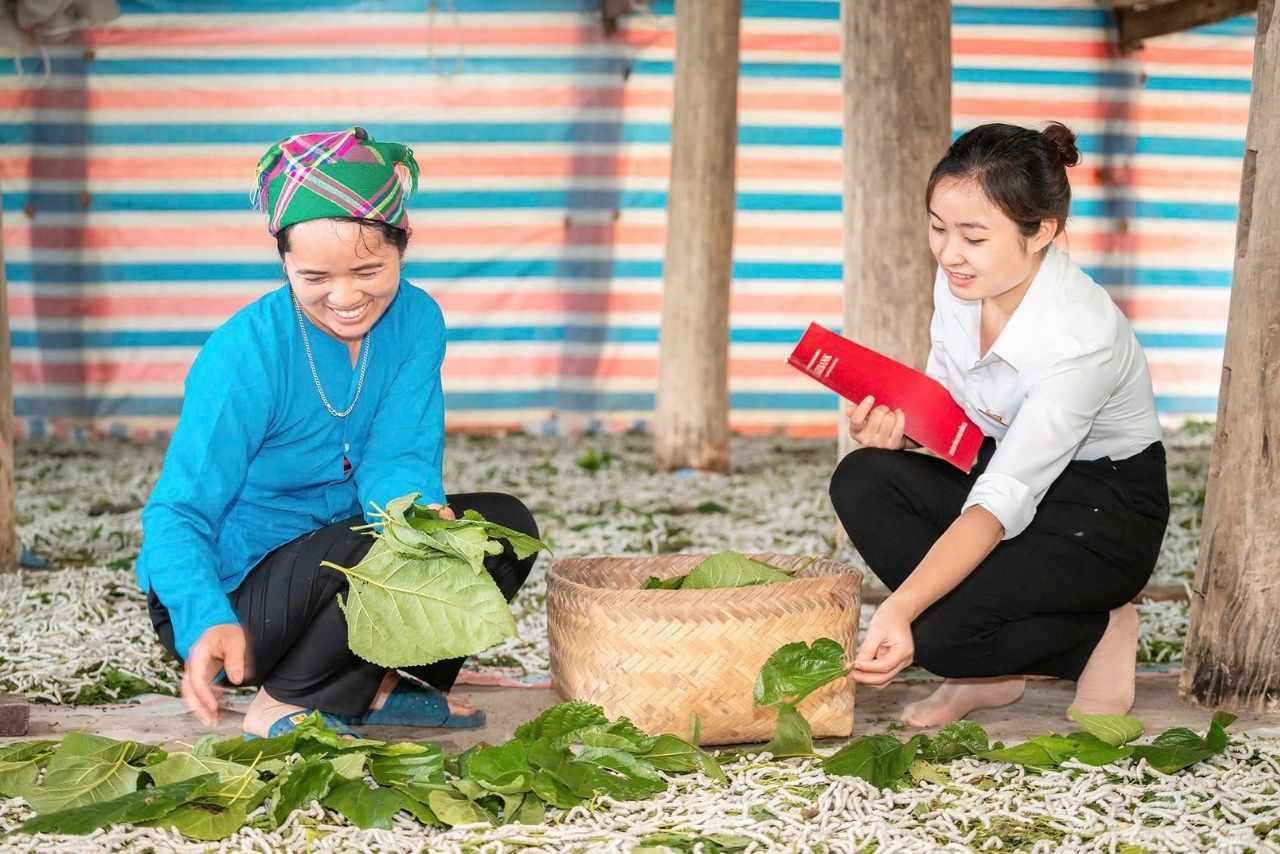 Nu doan vien Agribank hang say trong lao dong. Anh: Agribank
