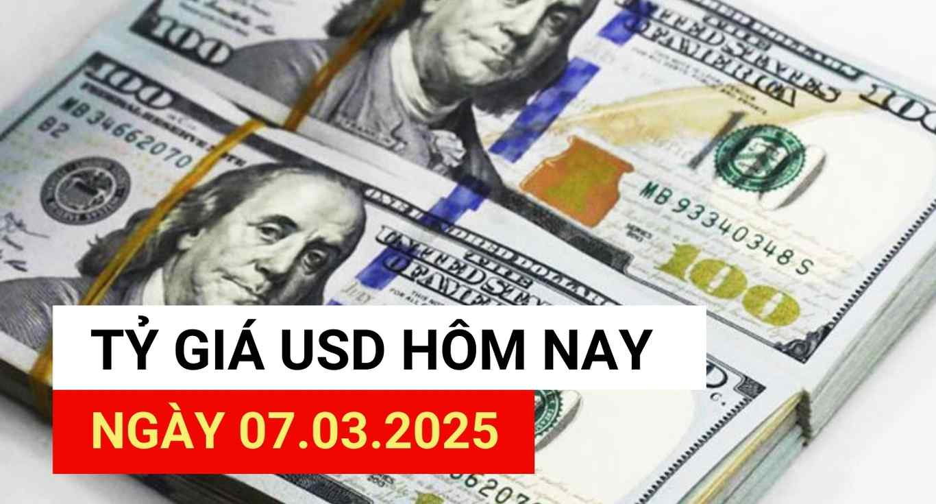 USD exchange rate today 7.3.2025
