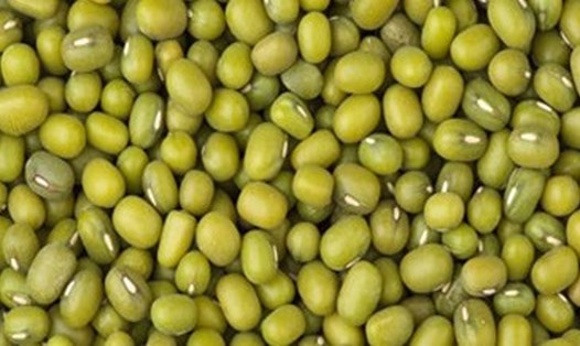 Đậu xanh được biết đến với tính mát, có khả năng giải độc thận. Ảnh: Kiều Vũ.