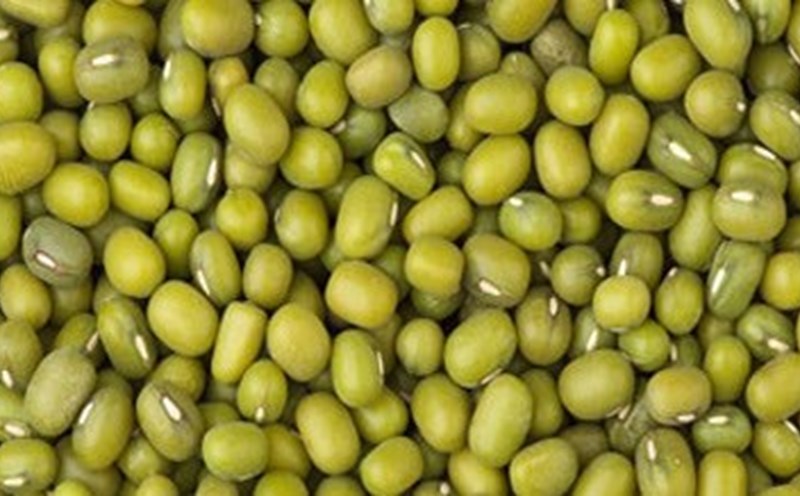 Green beans are known for their coolness and ability to detoxify the kidneys. Photo: Kieu Vu.