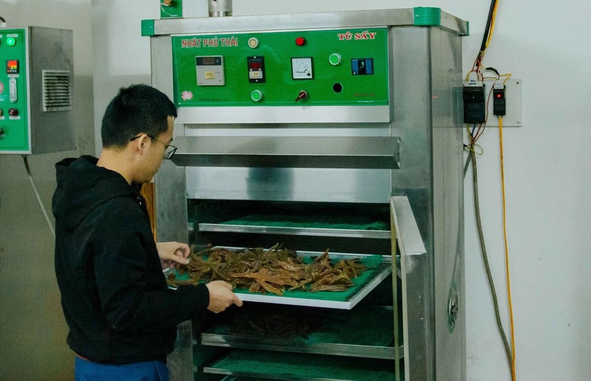 Thanks to the application of modern drying technology, deo potatoes retain their natural elasticity, without the need for preservatives. Photo: Cong Sang
