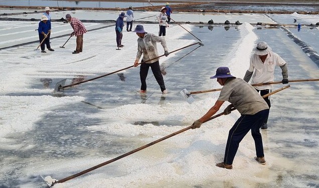 Salt workers are hard-working but have low incomes. Photo: Nhat Ho