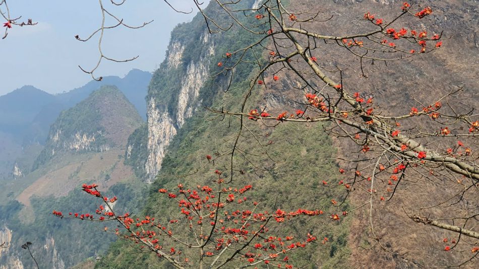 Rice flowers on the road to Du Gia waterfall. Photo: Hai An