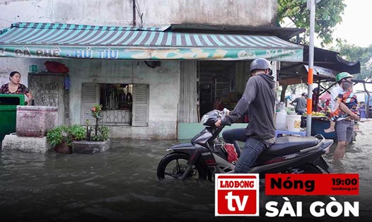 Nóng Sài Gòn ngày 7.3