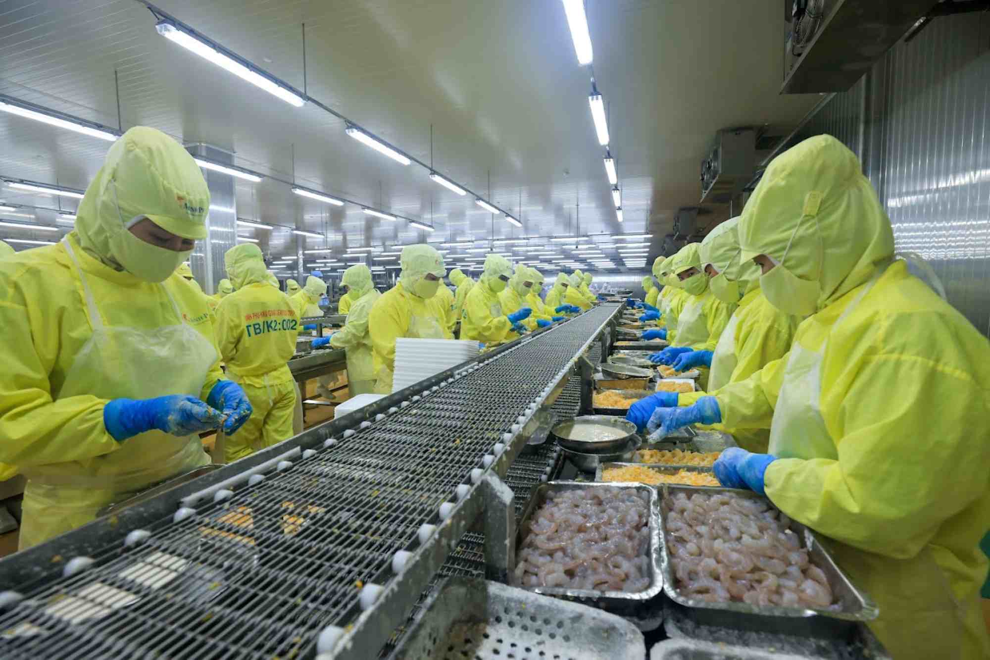 Minh Phu Seafood Joint Stock Company, Hau Giang. Photo: Hai Nguyen