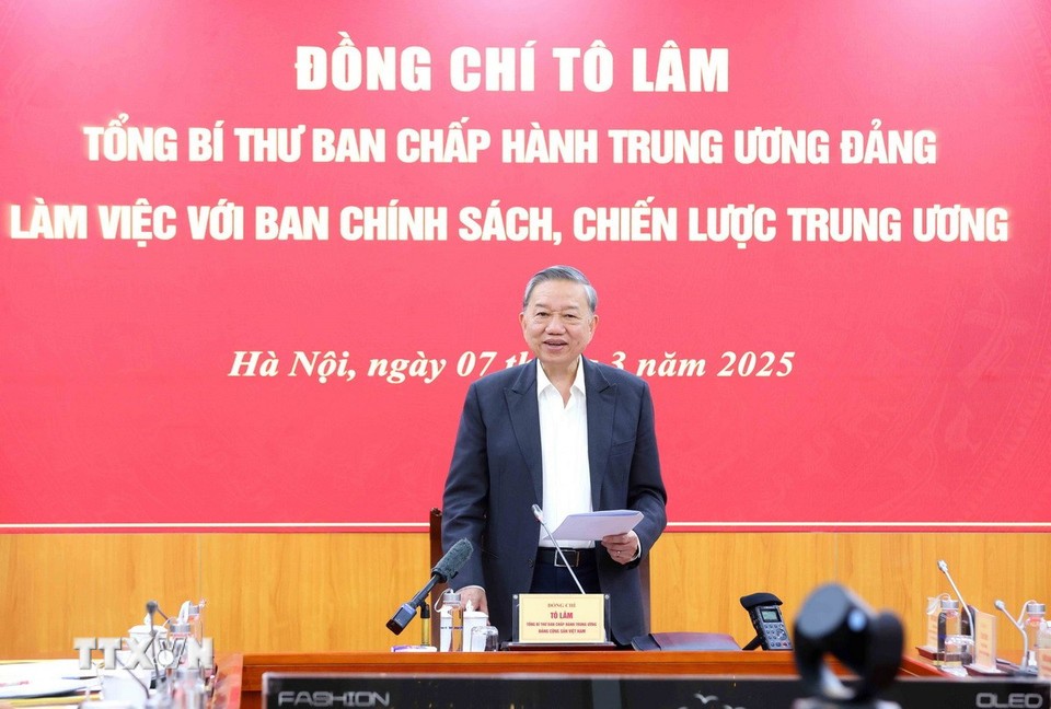 General Secretary To Lam worked with the Central Committee for Policy and Strategy on a number of strategic solutions to create breakthroughs in private economic development. Photo: VNA