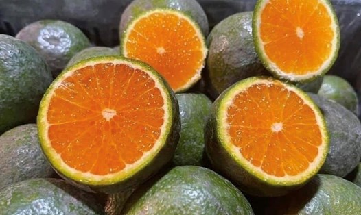 Cam có là nguồn bổ sung canxi không? Ảnh: Kiều Vũ