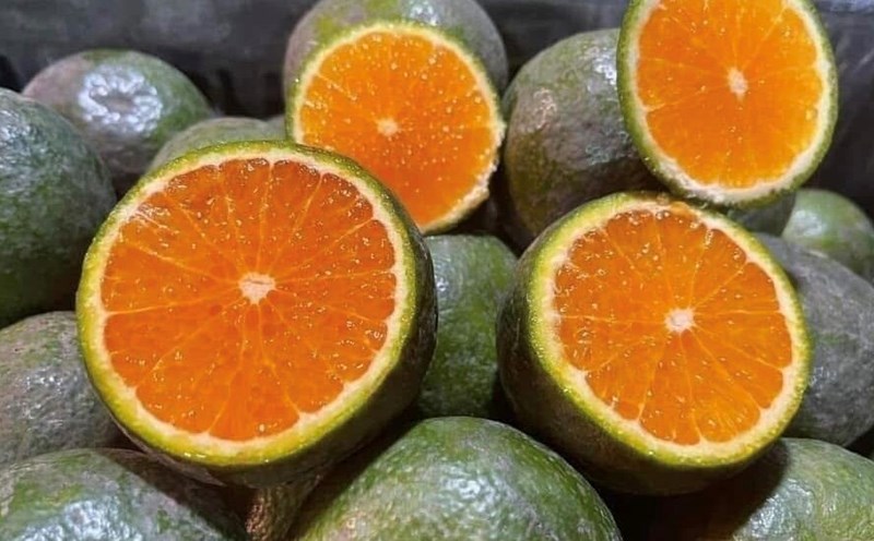 Are oranges a source of calcium? Photo: Kieu Vu