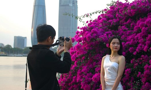 Đà Nẵng mùa hoa giấy nở rộ. Ảnh: Thanh Huyền