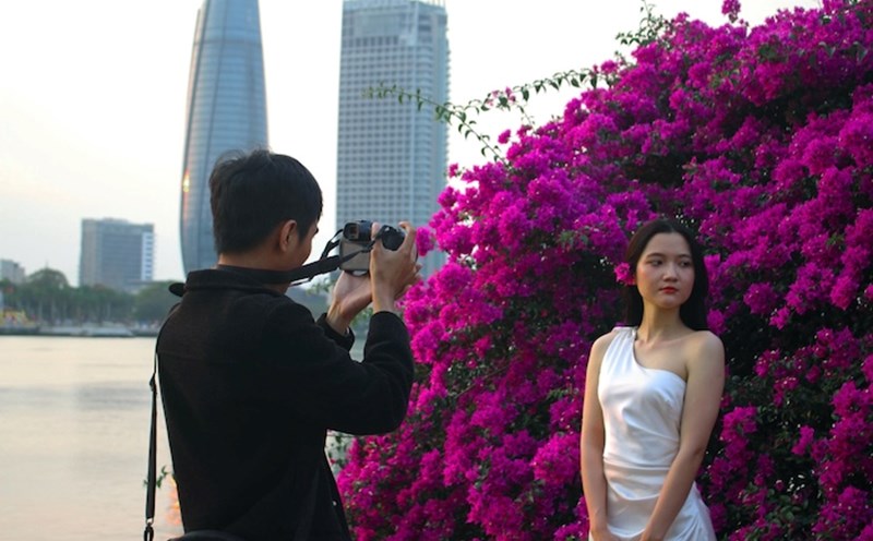 Da Nang in the blooming bougainvillea season. Photo: Thanh Huyen