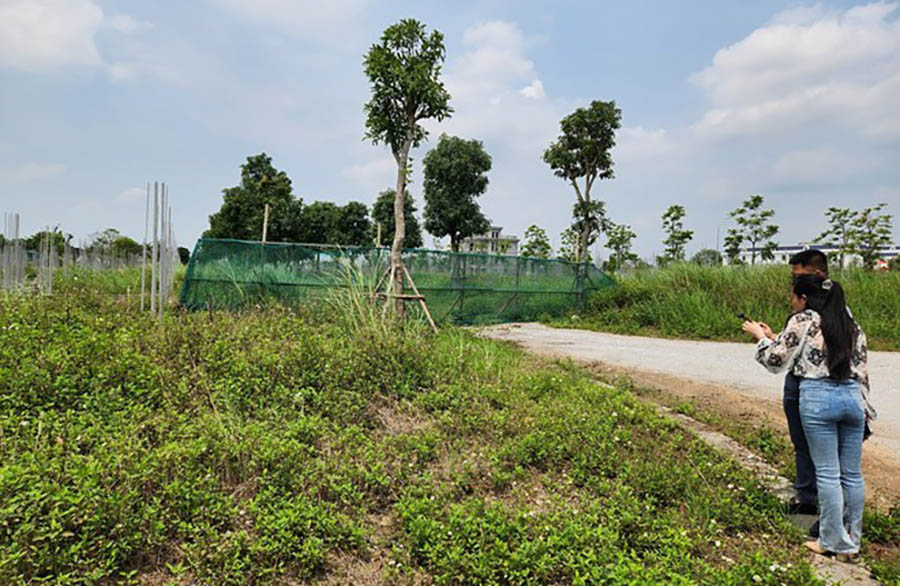 Many land investors with full legal documents are waiting for prices to increase to get rid of goods. Photo: Anh Huy.