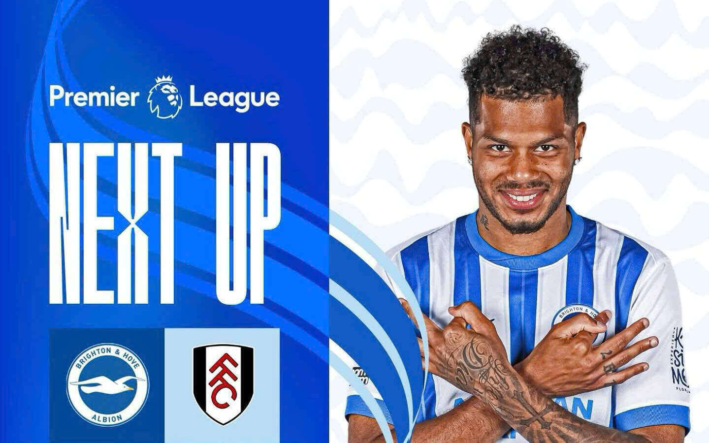 Brighton face Fulham in the Premier League. Photo: Brighton Club